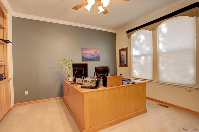 carpeted home office with ceiling fan and crown molding