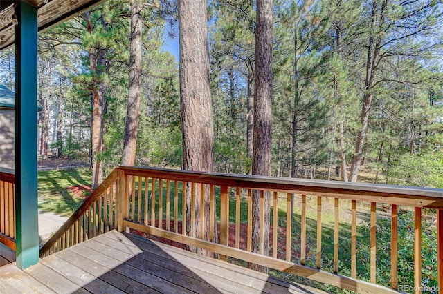 1065 Independence Dr, Larkspur, CO 80118 - photo 32