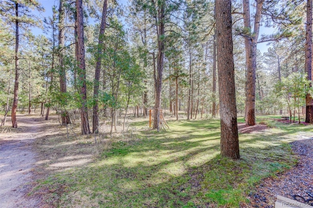 1065 Independence Dr, Larkspur, CO 80118 - photo 40
