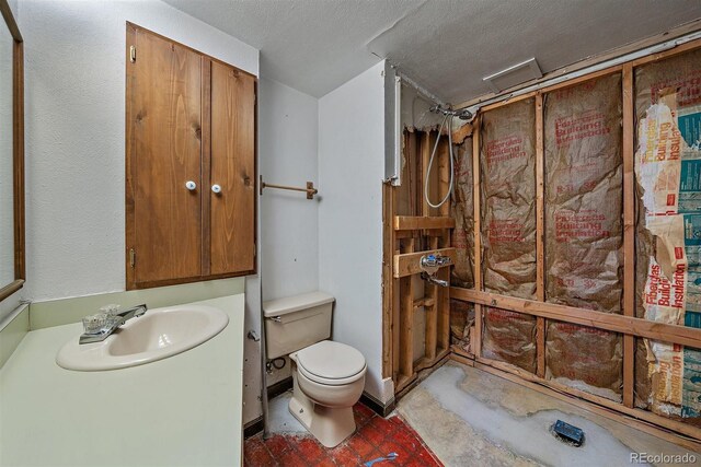 bathroom featuring vanity, toilet, a shower, and a textured ceiling