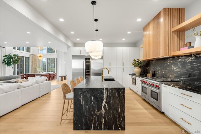 1001 S Adams St, Denver, CO 80209 - kitchen with high quality appliances, a sink, light wood-type flooring, tasteful backsplash, and dark stone counters