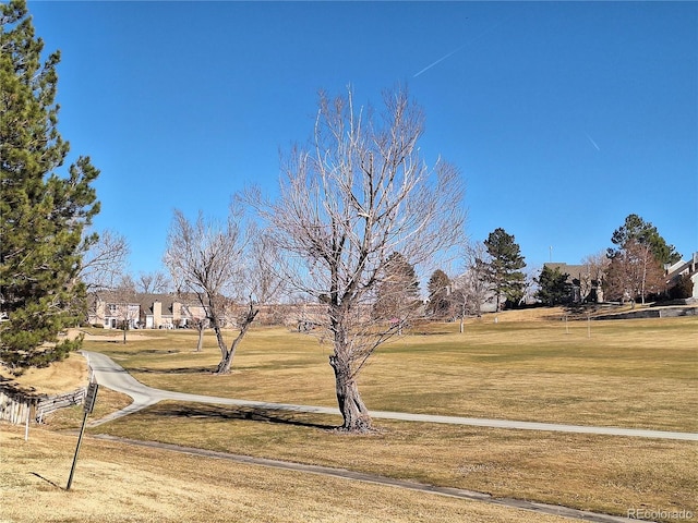 view of community with a yard