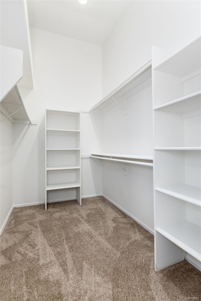 walk in closet featuring carpet