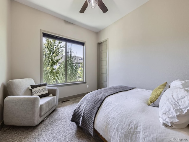 3611 Mount Powell Dr, Broomfield, CO 80023 - photo 14