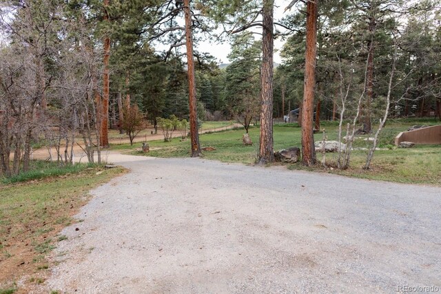8295 Green Ln, Rye, CO 81069 - photo 10