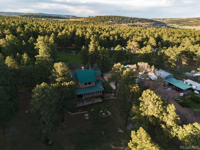 8295 Green Ln, Rye, CO 81069 - photo 11