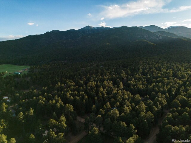 8295 Green Ln, Rye, CO 81069 - photo 13