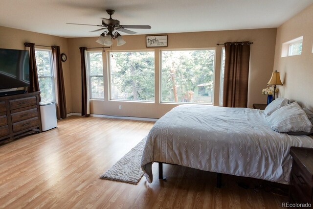 8295 Green Ln, Rye, CO 81069 - photo 36