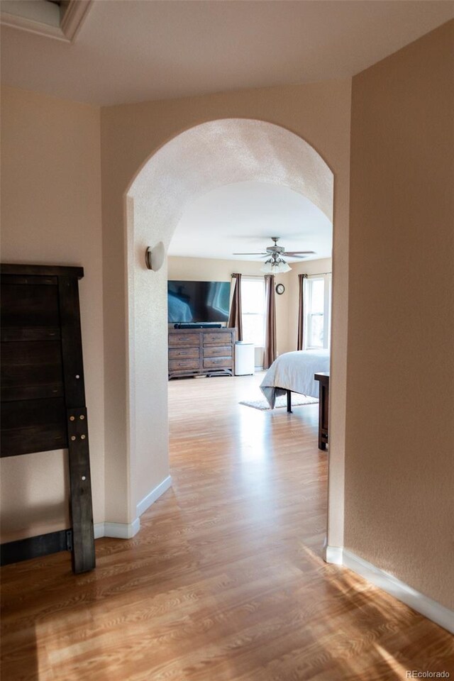 8295 Green Ln, Rye, CO 81069 - photo 43
