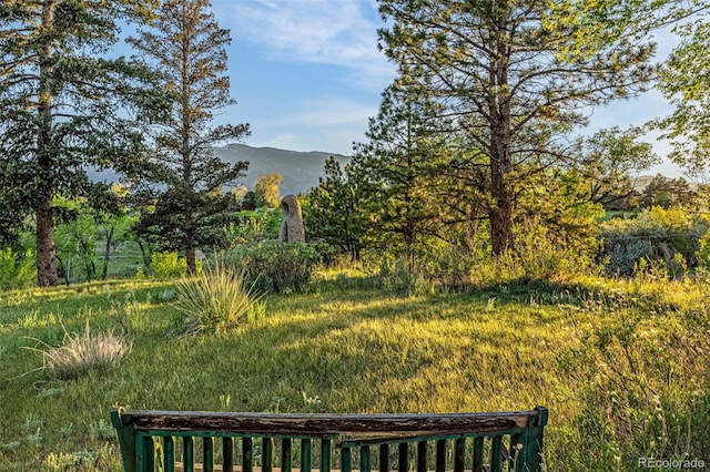 1455 La Mesa St, Colorado Springs, CO 80904 - view of yard with a mountain view
