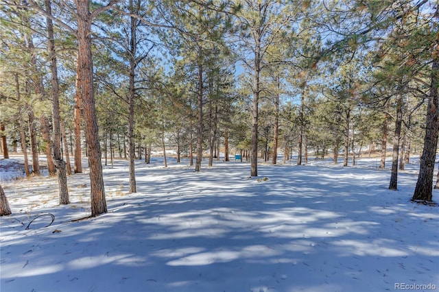 view of snowy yard