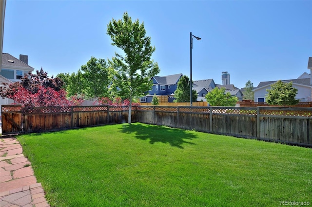 8171 E 33rd Ave, Denver, CO 80238 - photo 44