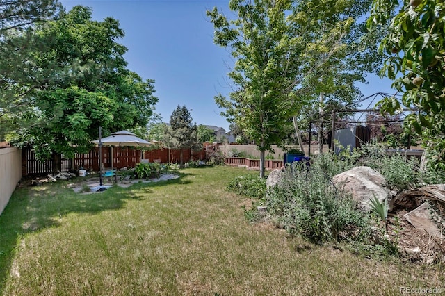 10609 Abilene St, Commerce City, CO 80022 - view of fenced backyard