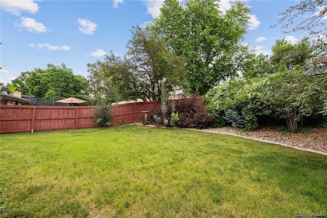 3298 S Krameria St, Denver, CO 80222 - view of yard