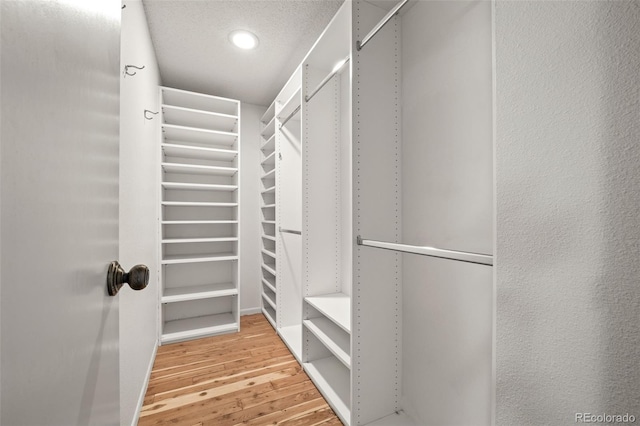 walk in closet with wood finished floors