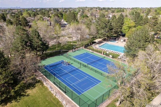 aerial view of a pool