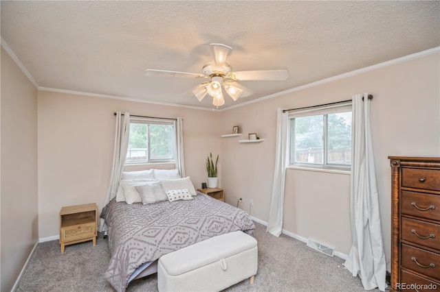 1130 24th Avenue Ct, Greeley, CO 80634 - photo 9