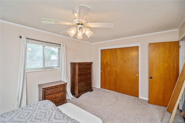 1130 24th Avenue Ct, Greeley, CO 80634 - photo 10
