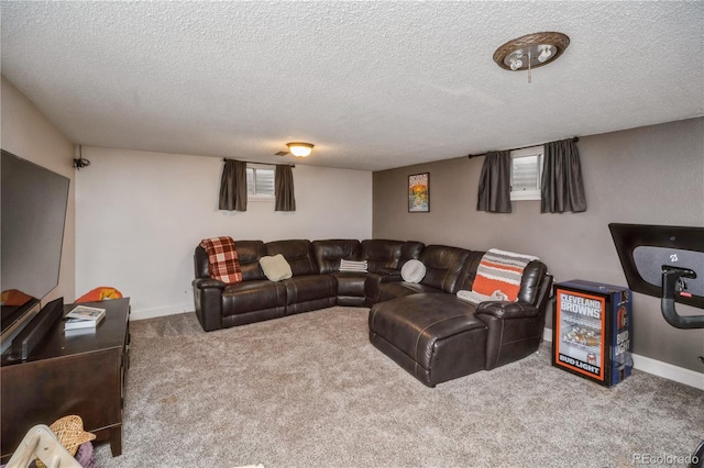 1130 24th Avenue Ct, Greeley, CO 80634 - photo 16