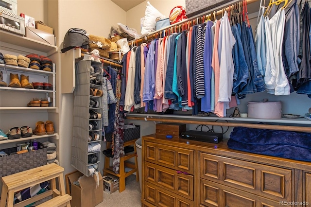 763 Sage Forest Ln, Monument, CO 80132 - walk in closet with carpet floors