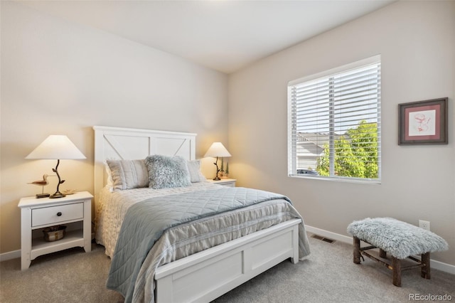 763 Sage Forest Ln, Monument, CO 80132 - bedroom featuring carpet flooring and baseboards