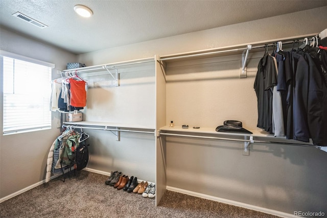 spacious closet featuring carpet and visible vents