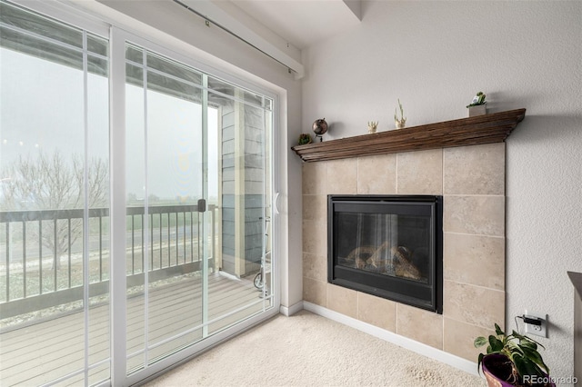 804 Summer Hawk Dr Unit 303, Longmont, CO 80504 - photo 4