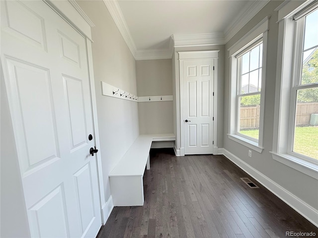 6023 Chester Way, Denver, CO 80238 - mudroom featuring dark wood-style flooring, baseboards, and ornamental molding