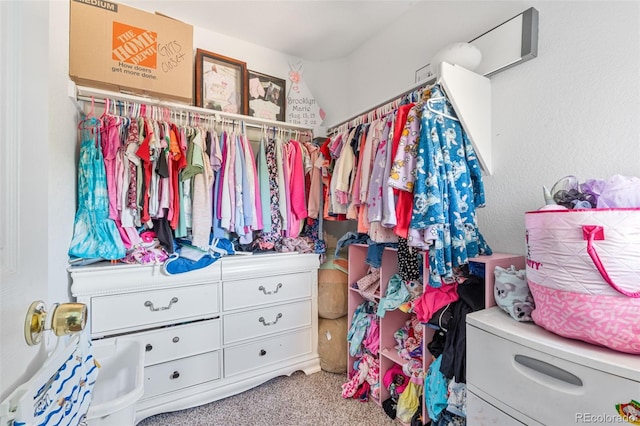 24022 E Jamison Dr, Aurora, CO 80016 - spacious closet with carpet floors