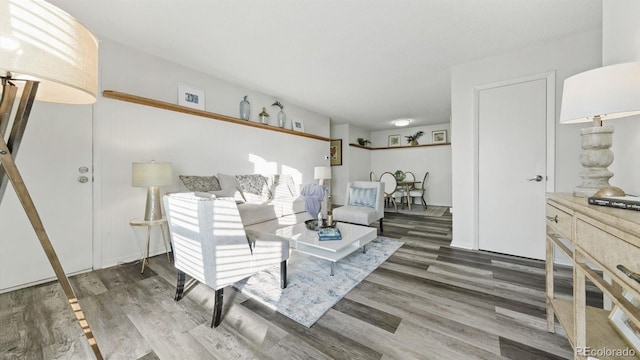 living room with dark hardwood / wood-style floors