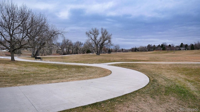 view of community with a lawn