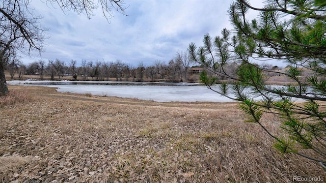 view of yard featuring a water view