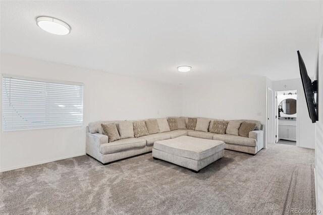 5001 Barnstormers Ave, Colorado Springs, CO 80911 - photo 21