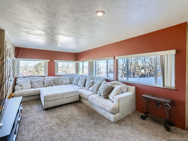 living room with carpet and a textured ceiling