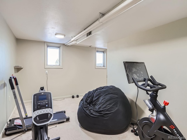 workout room featuring carpet flooring