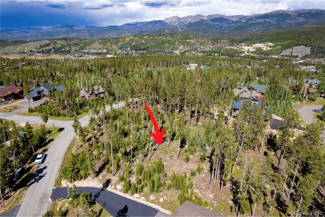 345 Moose Trl, Winter Park, CO 80482 - photo 2