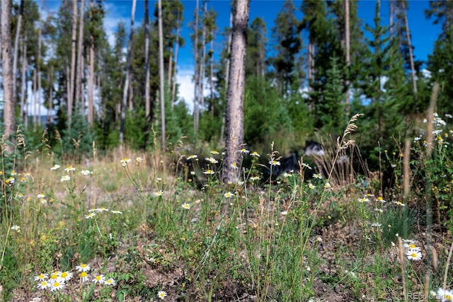 345 Moose Trl, Winter Park, CO 80482 - photo 4