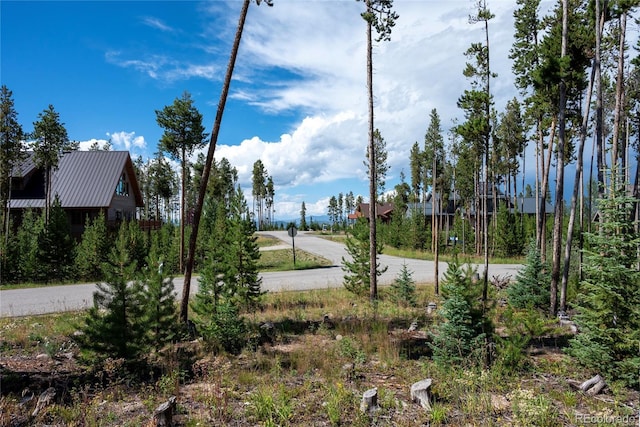 345 Moose Trl, Winter Park, CO 80482 - photo 5