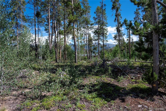 345 Moose Trl, Winter Park, CO 80482 - photo 6