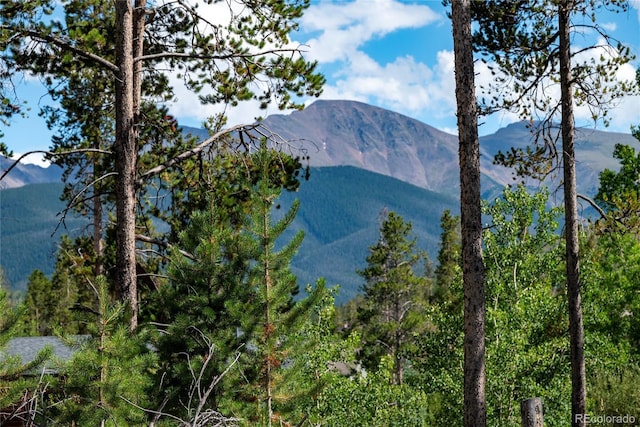 345 Moose Trl, Winter Park, CO 80482 - photo 7