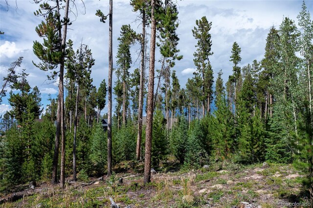 345 Moose Trl, Winter Park, CO 80482 - photo 8
