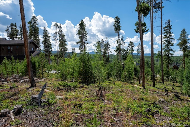 345 Moose Trl, Winter Park, CO 80482 - photo 9