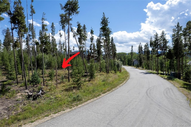 345 Moose Trl, Winter Park, CO 80482 - photo 10