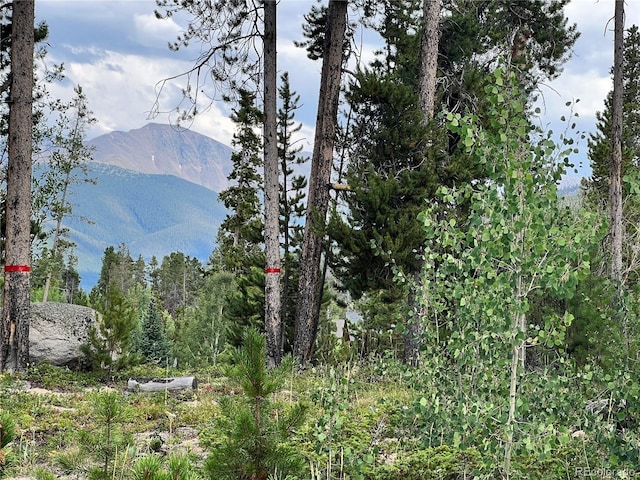 345 Moose Trl, Winter Park, CO 80482 - photo 12