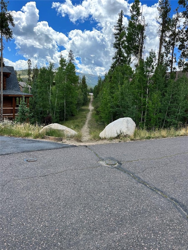 345 Moose Trl, Winter Park, CO 80482 - photo 16