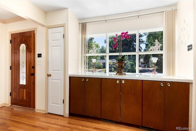5215 S Washington St, Littleton, CO 80121 - entryway featuring light wood-type flooring and baseboards
