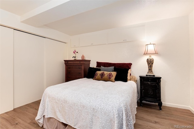 5215 S Washington St, Littleton, CO 80121 - bedroom with a closet and light wood-type flooring