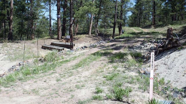 23967 High Timber Ln, Agate, CO 80101 - photo 1