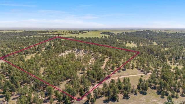 23967 High Timber Ln, Agate, CO 80101 - photo 2