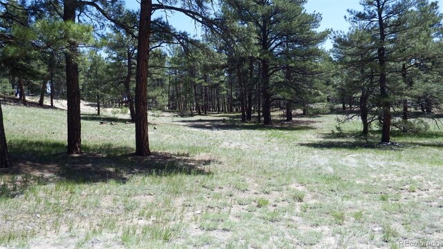 23967 High Timber Ln, Agate, CO 80101 - photo 32